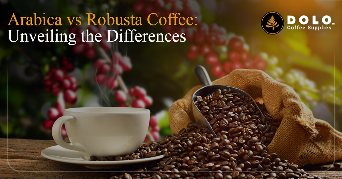 Arabica vs Robusta Coffee: Unveiling the Differences